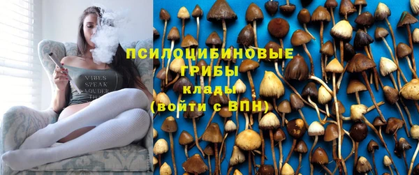 тгк Армянск