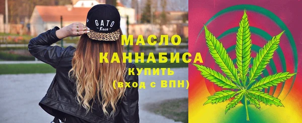 тгк Армянск